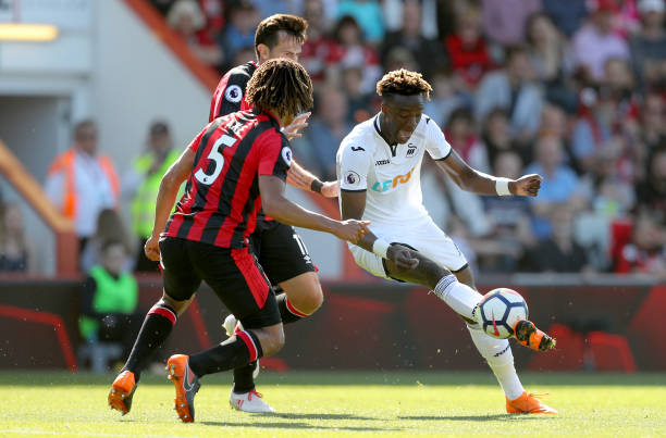 的稳健风格 的稳健风格