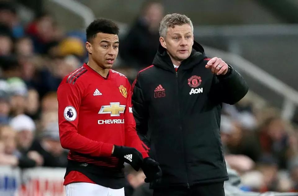 迎来国际游 迎来国际游